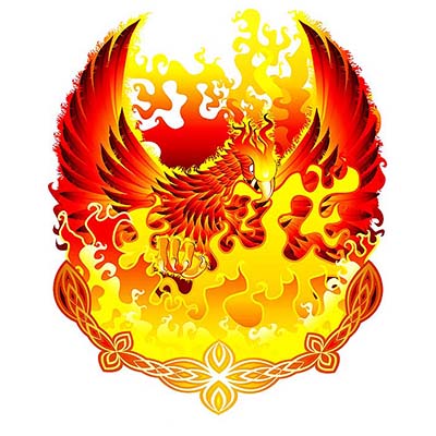 Fiery Phoenix Design Water Transfer Temporary Tattoo(fake Tattoo) Stickers NO.11440